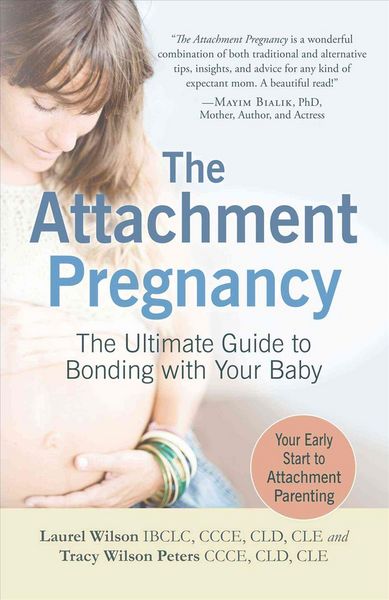 Produktbild: Attachment Pregnancy