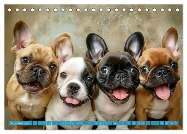 Produktbild: L&auml;chelnde Hunde sind wie Sonnenschein auf vier Pfoten (Tischkalender 2026 DIN A5 quer), CALVENDO Monatskalender