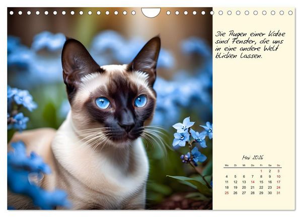 Produktbild: Katzen - Charakter und Sch&ouml;nheit (Wandkalender 2026 DIN A4 quer), CALVENDO Monatskalender