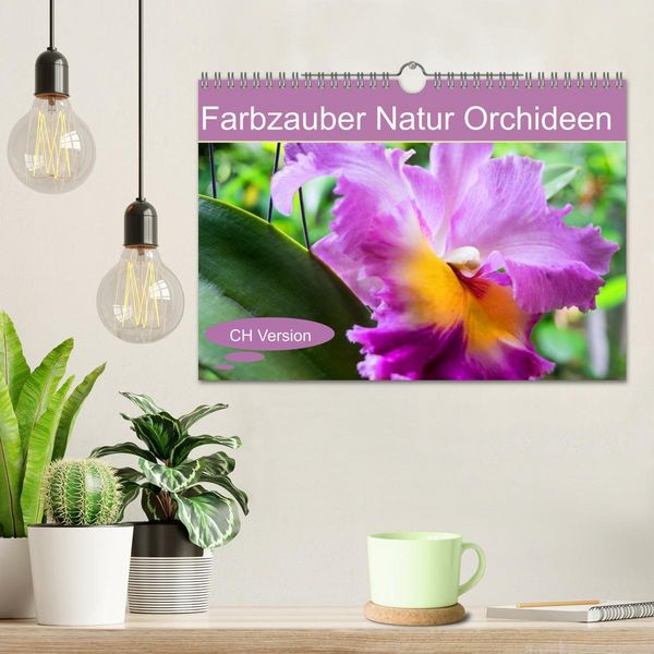 Produktbild: Farbzauber Natur Orchideen - CH Version (Wandkalender 2026 DIN A4 quer), CALVENDO Monatskalender
