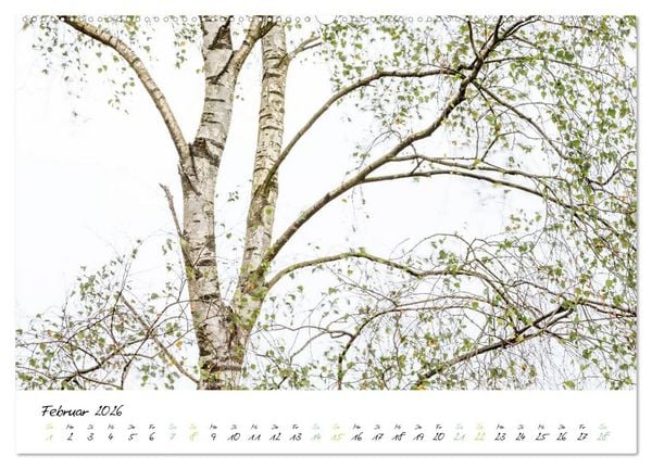 Produktbild: In der Welt der B&auml;ume (hochwertiger Premium Wandkalender 2026 DIN A2 quer), Kunstdruck in Hochglanz