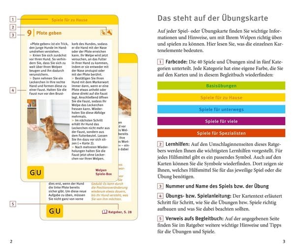 Produktbild: Welpen-Spiele-Box