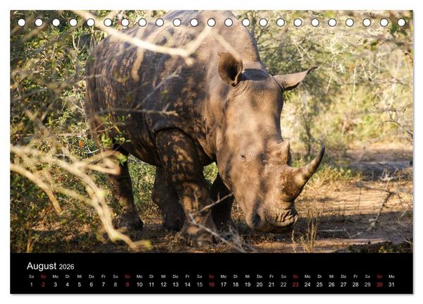 Produktbild: Faszinierendes S&uuml;dafrika (Tischkalender 2026 DIN A5 quer), CALVENDO Monatskalender