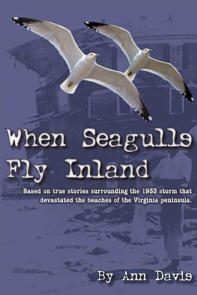 Produktbild: When Seagulls Fly Inland