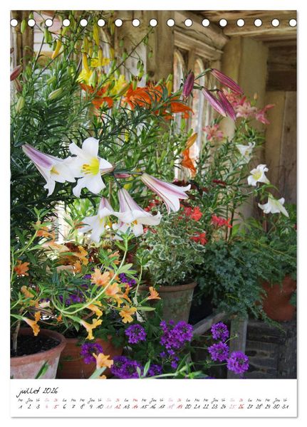 Produktbild: Heureux au jardin (Calendrier de bureau 2026 DIN A5 horizontal), CALVENDO calendrier mensuel