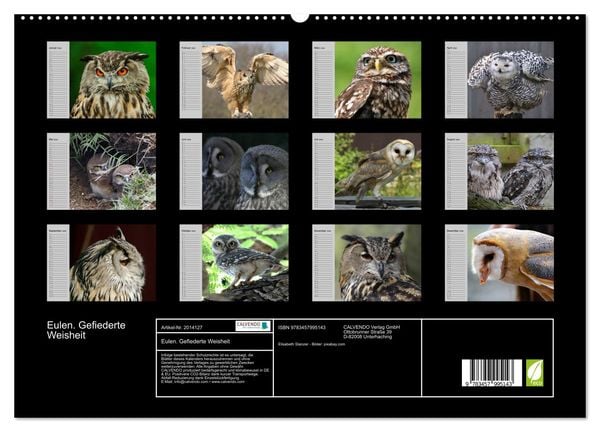 Produktbild: Eulen. Gefiederte Weisheit (hochwertiger Premium Wandkalender 2026 DIN A2 quer), Kunstdruck in Hochglanz