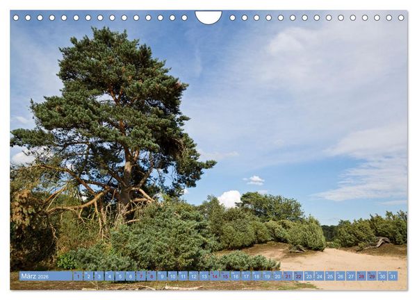 Produktbild: Haltern am See (Wandkalender 2026 DIN A4 quer), CALVENDO Monatskalender