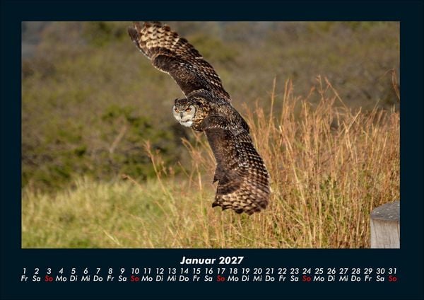 Produktbild: Welt der V&ouml;gel 2027 Fotokalender DIN A4
