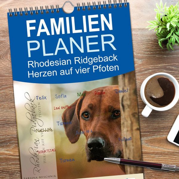 Produktbild: Familienplaner 2026 - Rhodesian Ridgeback - Herzen auf vier Pfoten mit 5 Spalten (Wandkalender, 21 x 45 cm) CALVENDO
