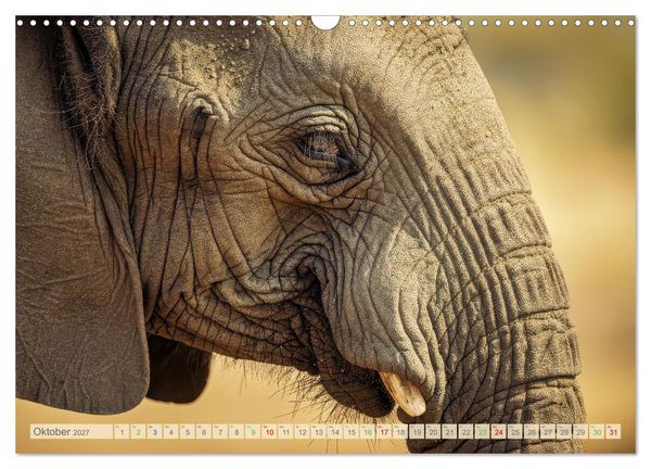 Produktbild: Die Augen der Wildnis (Wandkalender 2027 DIN A3 quer), CALVENDO Monatskalender