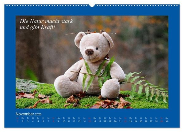 Produktbild: Sommer im Teddy-Land. B&auml;r und Freunde (Wandkalender 2026 DIN A2 quer), CALVENDO Monatskalender