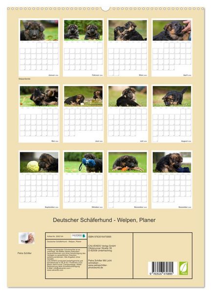 Produktbild: Deutscher Sch&auml;ferhund - Welpen, Planer (hochwertiger Premium Wandkalender 2026 DIN A2 hoch), Kunstdruck in Hochglanz