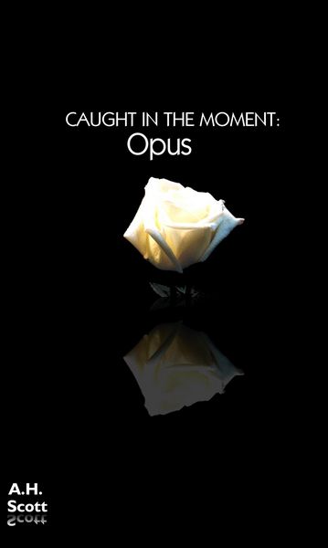 Produktbild: Caught In The Moment: Opus