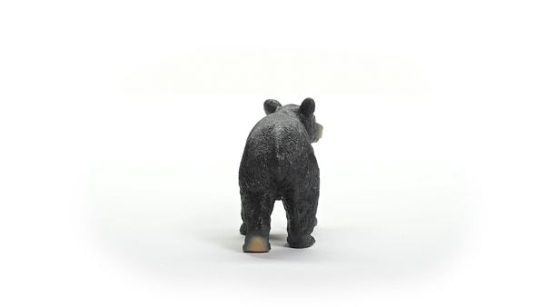 Produktbild: schleich&reg; Wild Life Amerikanischer Schwarzb&auml;r 5,5cm