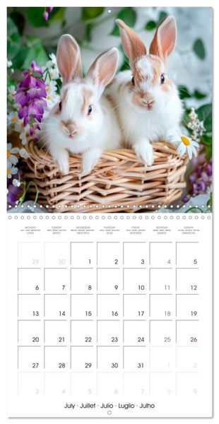 Produktbild: RABBITS Cuddly little guys (Wall Calendar 2026 12 &times; 12 Inch) CALVENDO 12 Month Wall Calendar
