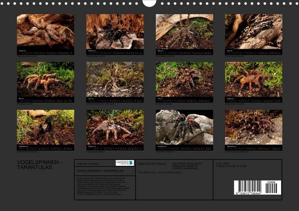 Produktbild: Vogelspinnen - Tarantulas (Wandkalender 2022 DIN A3 quer)
