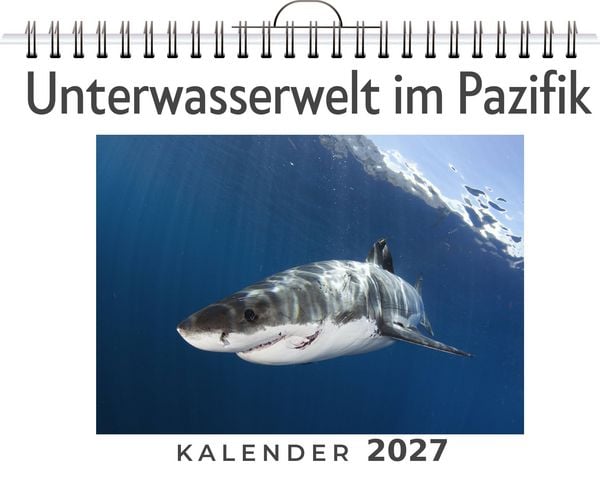 Produktbild: Unterwasserwelt im Pazifik