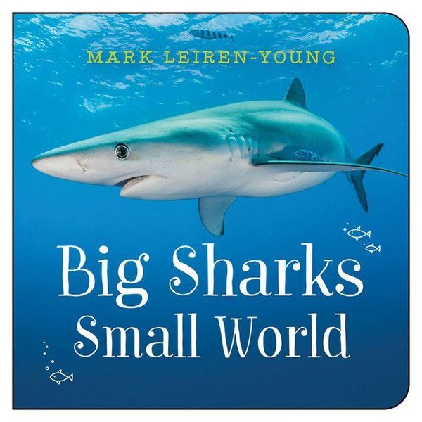 Produktbild: Big Sharks, Small World