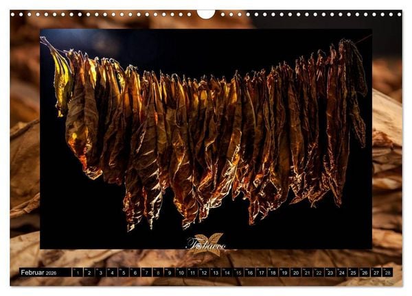Produktbild: Tobacco - Genuss und Flair der Tabakkultur (Wandkalender 2026 DIN A3 quer), CALVENDO Monatskalender
