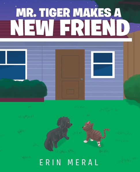 Produktbild: Mr. Tiger Makes a New Friend