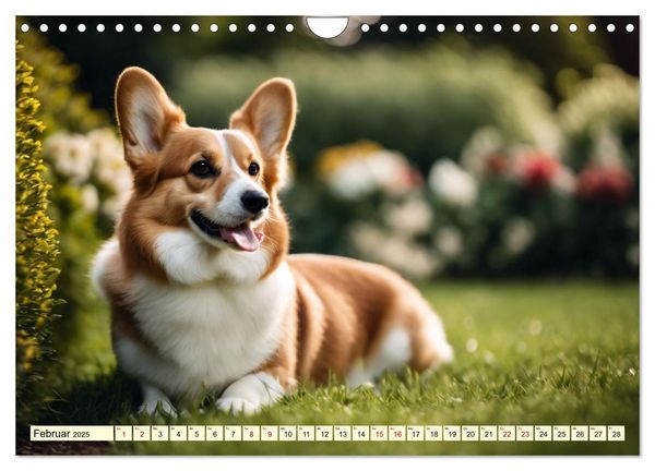 Welsh Corgi Pembroke (Wandkalender 2025 DIN A4 quer), CALVENDO Monatskalender