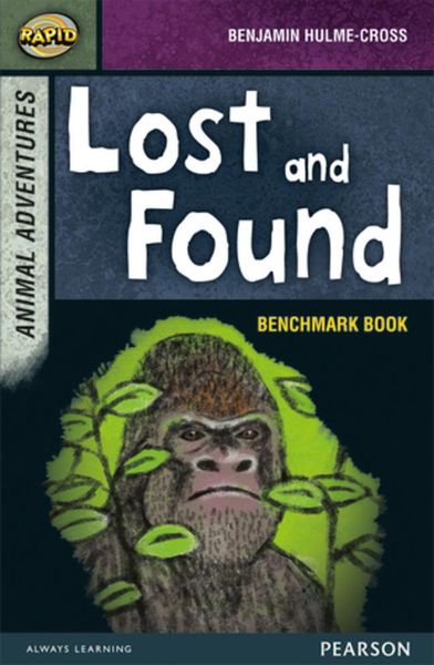 Produktbild: Rapid Stage 7 Assessment book: Lost and Found