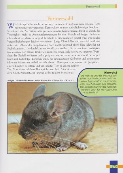 Produktbild: Leben mit Chinchillas