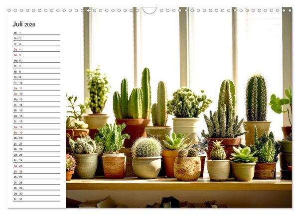 Produktbild: Kaktuszauberland (Wandkalender 2026 DIN A3 quer), CALVENDO Monatskalender