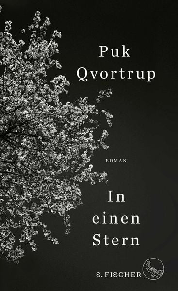 Produktbild: In einen Stern