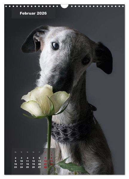 Produktbild: UNDERDOG - Windhundportraits (Wandkalender 2026 DIN A3 hoch), CALVENDO Monatskalender