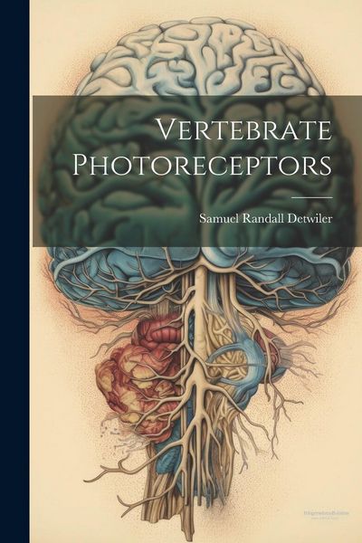 Produktbild: Vertebrate Photoreceptors