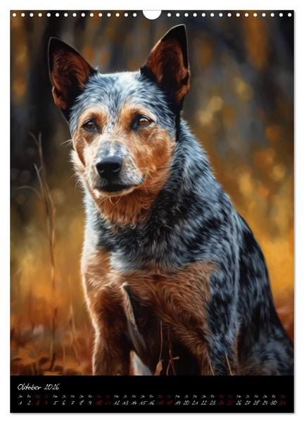 Produktbild: Australian Cattle Dogs (Wandkalender 2026 DIN A3 hoch), CALVENDO Monatskalender