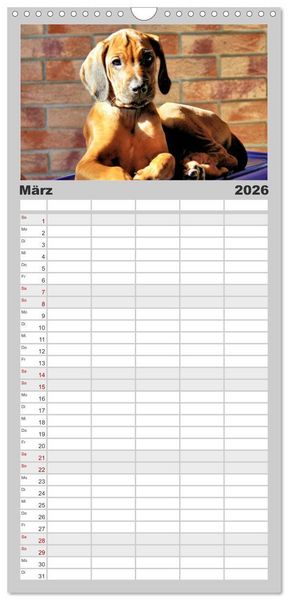 Produktbild: Familienplaner 2026 - Rhodesian Ridgeback - Moments mit 5 Spalten (Wandkalender, 21 x 45 cm) CALVENDO