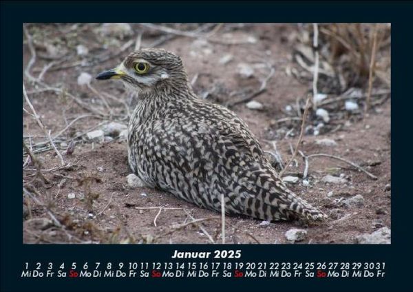 Produktbild: Vogelparadies 2025 Fotokalender DIN A5
