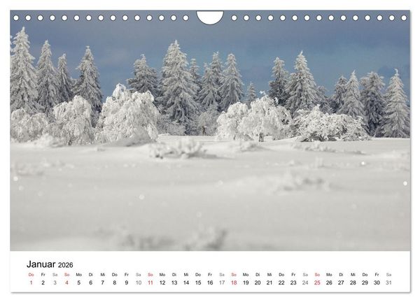 Produktbild: SAUERLAND &ndash; Besondere Orte (Wandkalender 2026 DIN A4 quer), CALVENDO Monatskalender