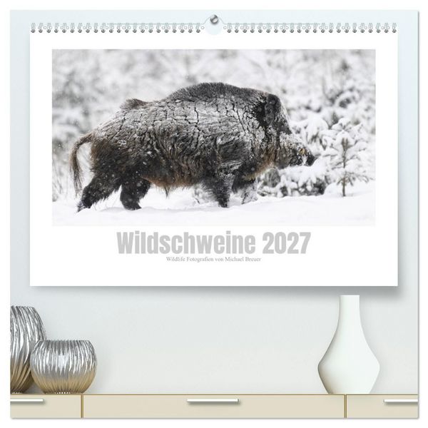 Produktbild: Wildschweine &ndash; Wildlife Fotografien (hochwertiger Premium Wandkalender 2027 DIN A2 quer), Kunstdruck in Hochglanz