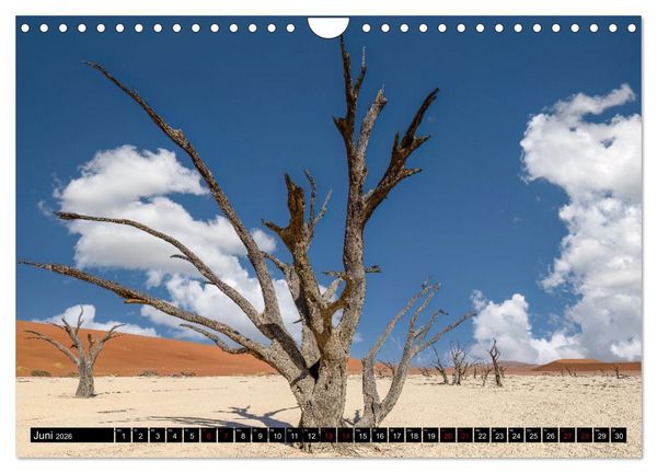 Produktbild: Namibia - Land der Kontraste (Wandkalender 2026 DIN A4 quer), CALVENDO Monatskalender