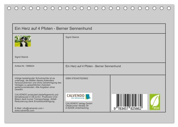 Produktbild: Ein Herz auf 4 Pfoten - Berner Sennenhund (Tischkalender 2026 DIN A5 quer), CALVENDO Monatskalender