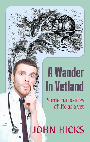 Produktbild: A Wander in Vetland (An English Vet's Life in New Zealand, #2)