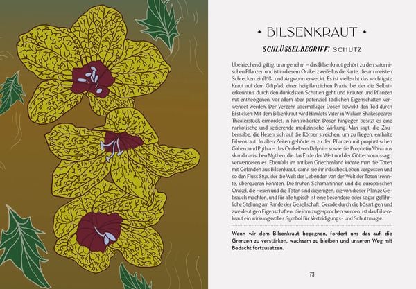 Produktbild: Das Orakel der Schamanen