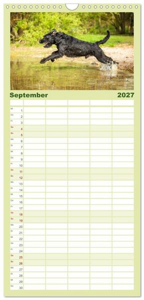 Produktbild: Familienplaner 2027 - Mit dem Riesenschnauzer durch das Jahr mit 5 Spalten (Wandkalender, 21 x 45 cm) CALVENDO