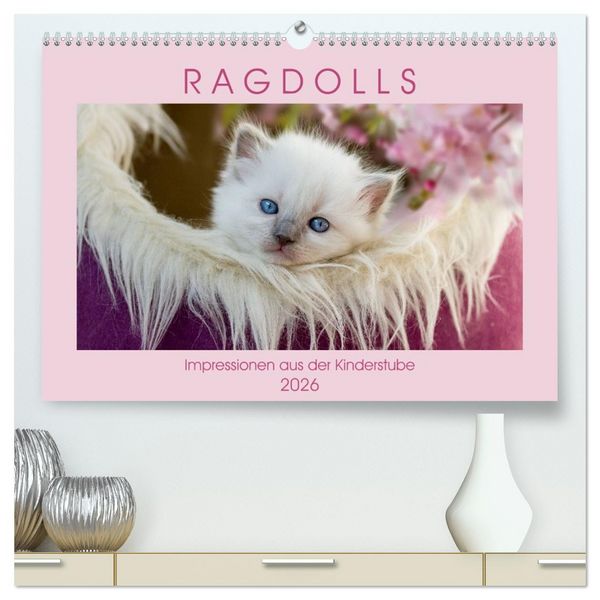 Produktbild: RAGDOLLS Impressionen aus der Kinderstube (hochwertiger Premium Wandkalender 2026 DIN A2 quer), Kunstdruck in Hochglanz