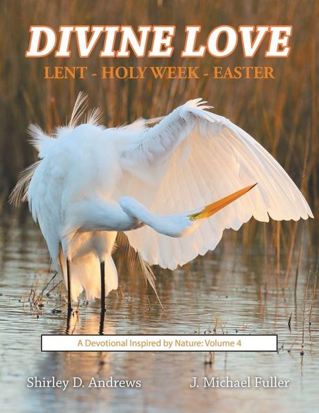 Produktbild: Divine Love Lent - Holy Week - Easter
