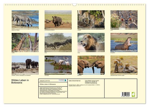 Produktbild: Wildes Leben in Botswana (Wandkalender 2026 DIN A2 quer), CALVENDO Monatskalender