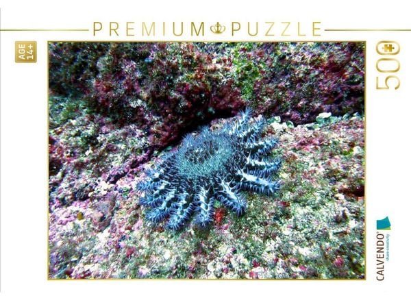 CALVENDO Puzzle Dornenkrone, Alcyone, Cocos Island, Costa Rica | 500 Teile Lege-Größe 48 × 36 cm Foto-Puzzle für Erwachsene