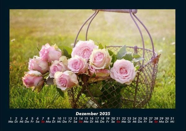 Produktbild: Rosentraum 2025 Fotokalender DIN A4
