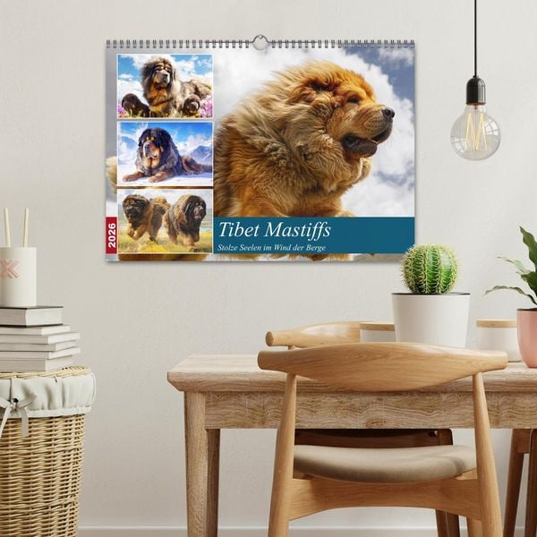 Produktbild: Tibet Mastiffs. Stolze Seelen im Wind der Berge (Wandkalender 2026 DIN A3 quer), CALVENDO Monatskalender