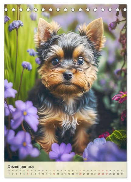 Produktbild: Kleine Hunde. S&uuml;&szlig; und niedlich. Die beliebtesten Hunderassen (Tischkalender 2026 DIN A5 hoch), CALVENDO Monatskalender