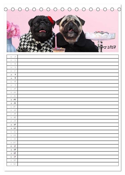 Produktbild: Der mopsige Familienplaner (Tischkalender 2027 DIN A5 hoch), CALVENDO Monatskalender
