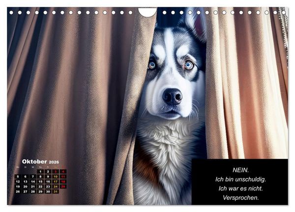 Produktbild: Der tierisch lustige Husky Kalender (Wandkalender 2026 DIN A4 quer), CALVENDO Monatskalender